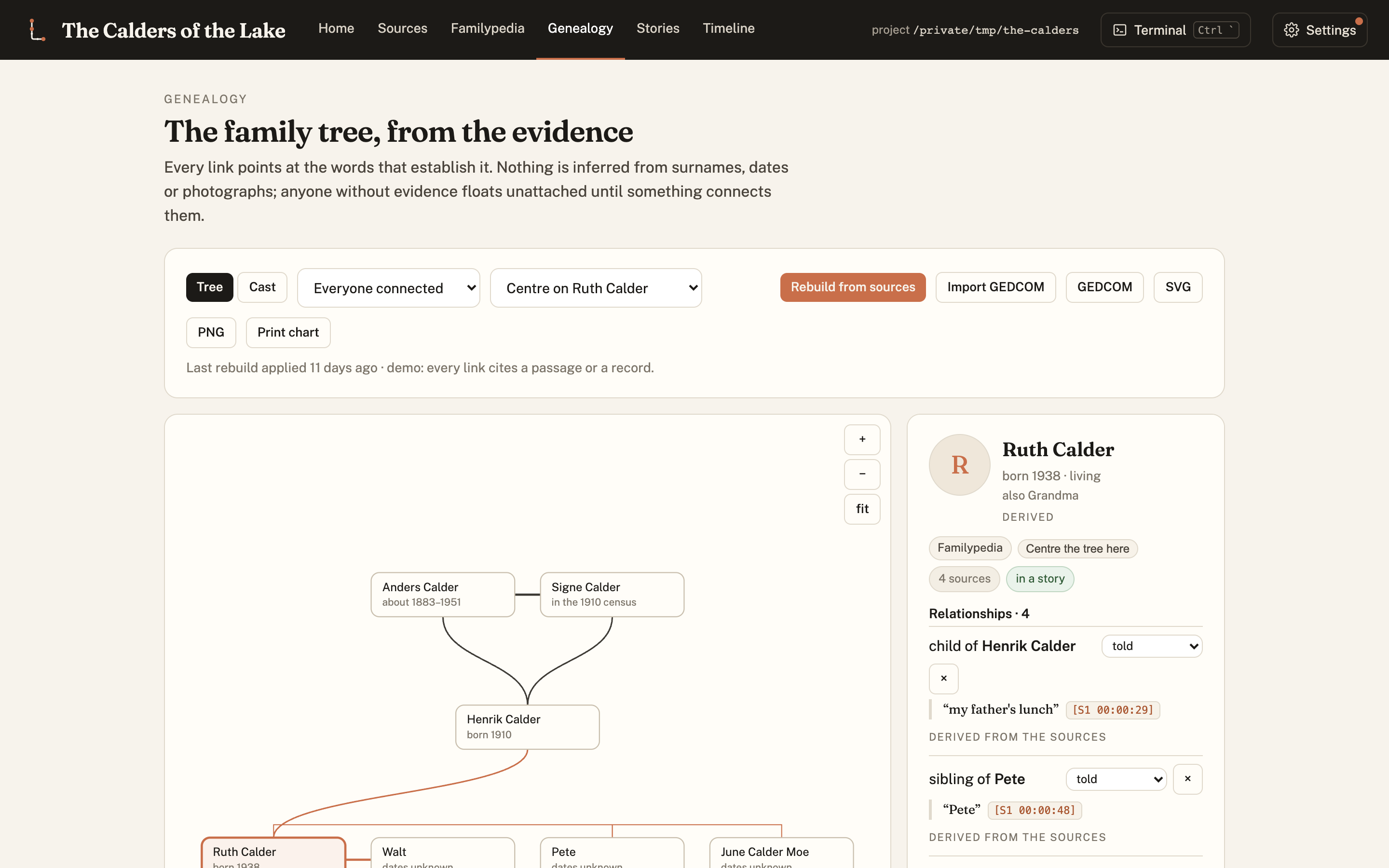 The genealogy tree